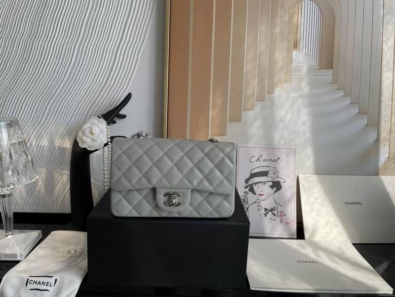 Chanel Handbags 455